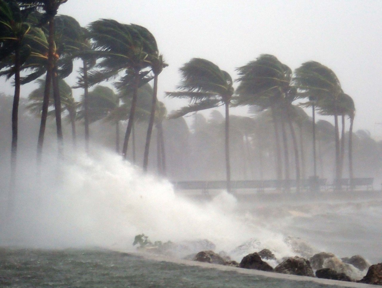 Picture of Hurricane Irma